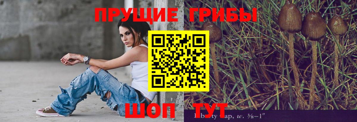 Галлюциногенные грибы Magic Shrooms Таганрог